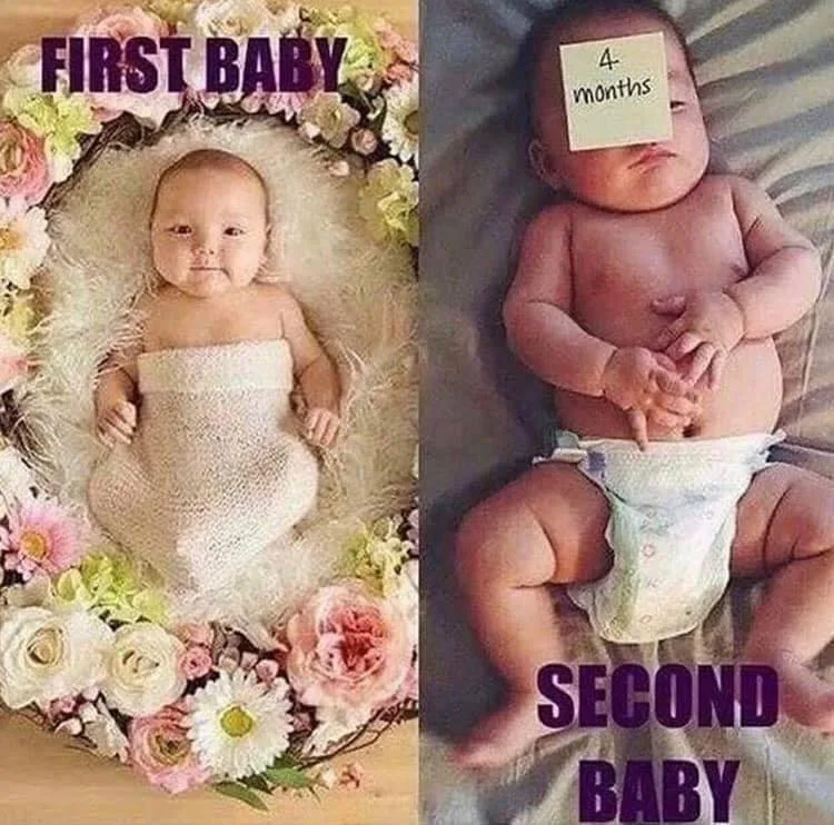 sibling meme