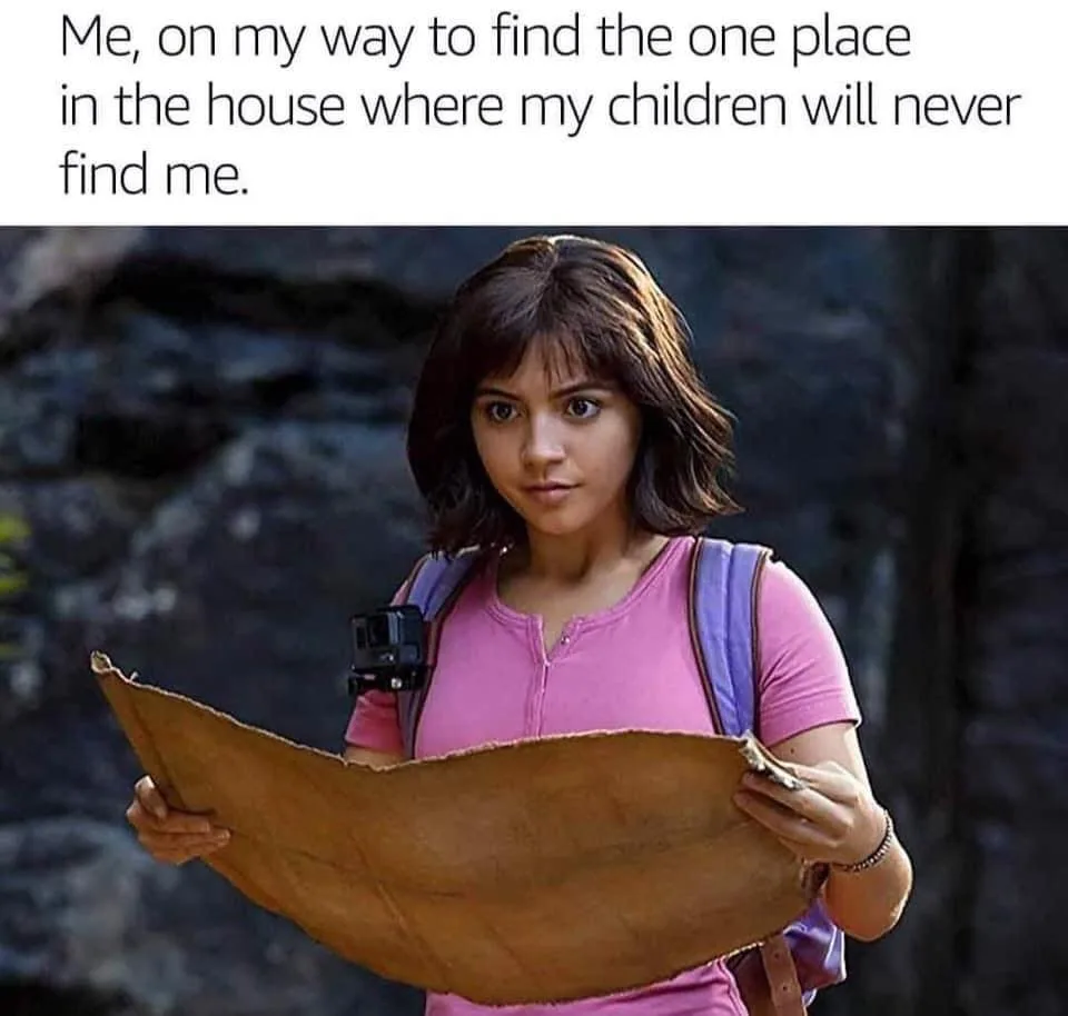 privacy meme