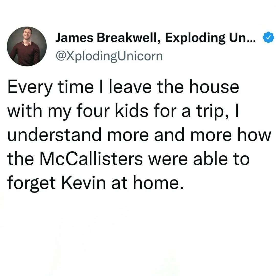 Home Alone meme