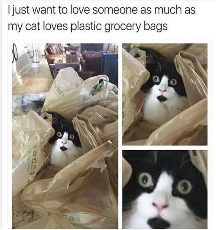 plastic bag meme