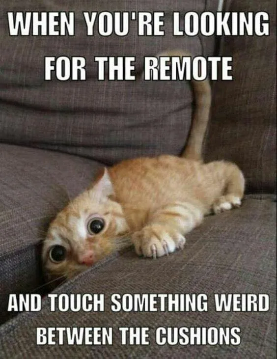 sofa meme