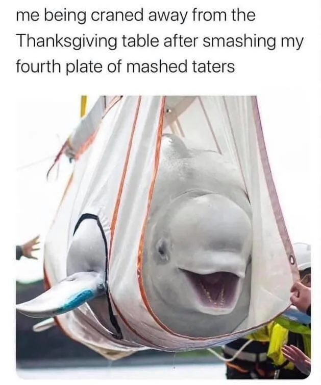 mashed potatoes meme