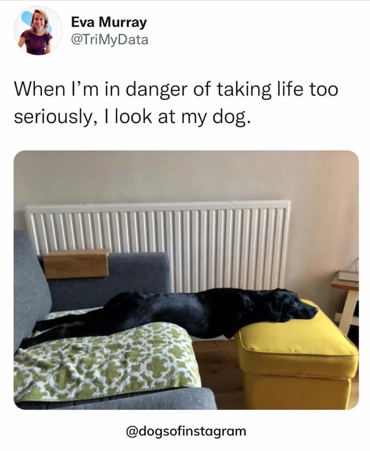 taking things too seriously meme