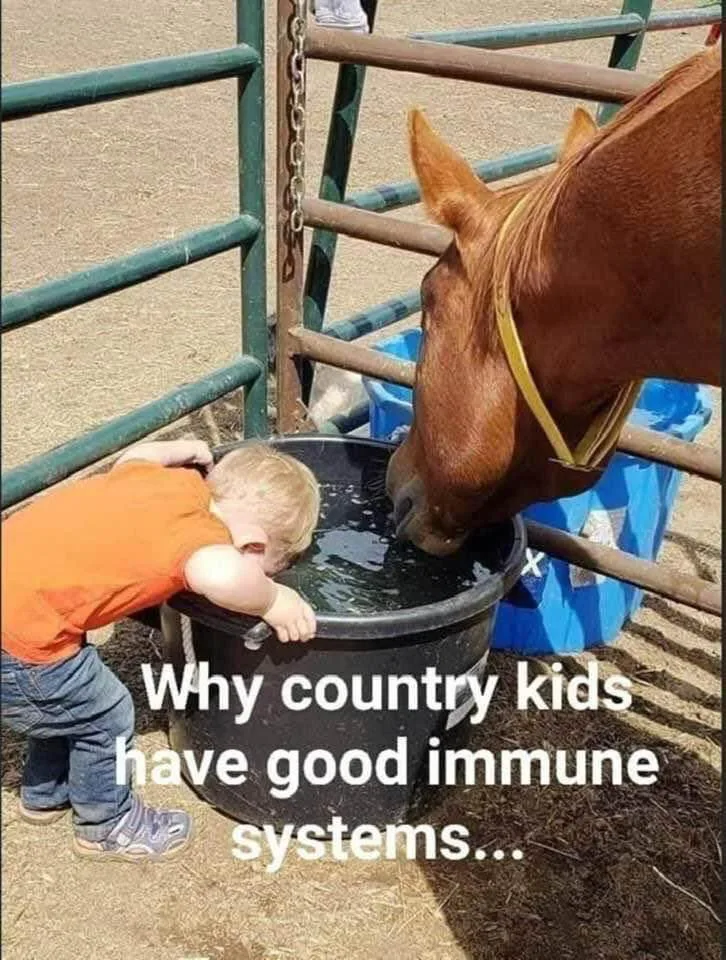 Country meme