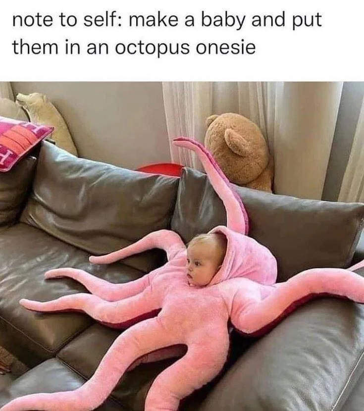 onesies meme