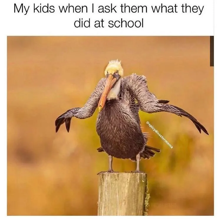 school meme