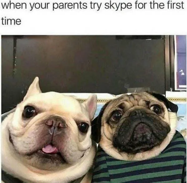 parent meme