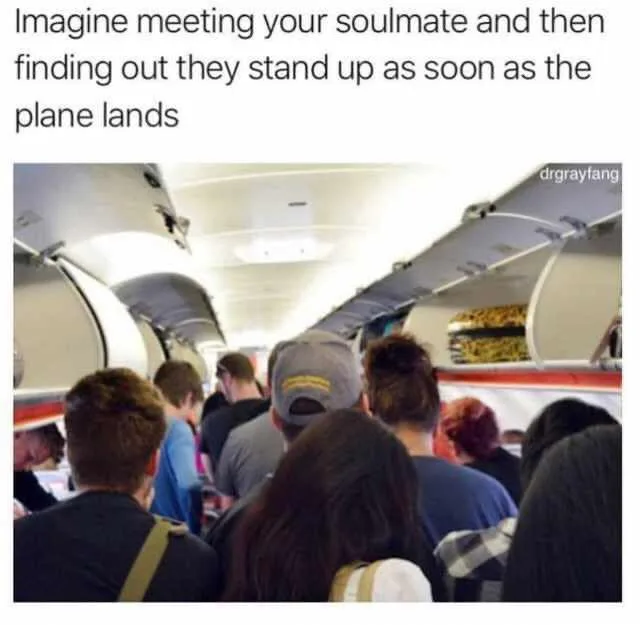 soulmate meme