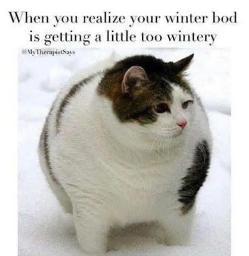 getting fat meme