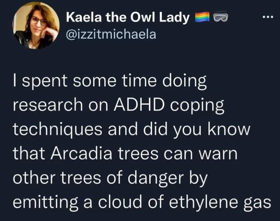 coping meme
