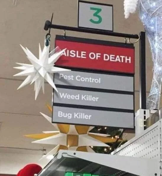 bug meme