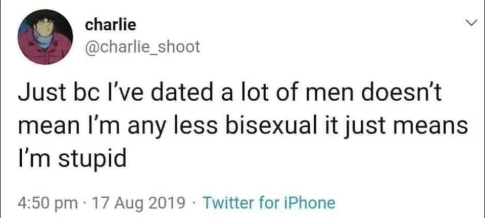 bisexuality meme