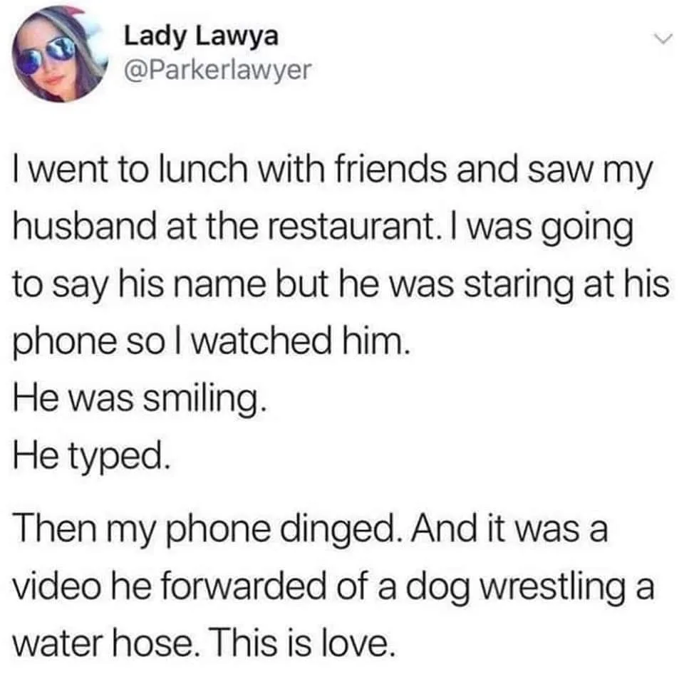 dog lover meme