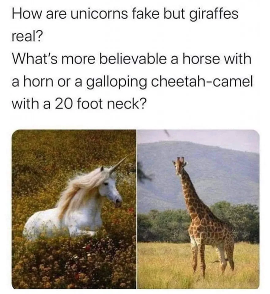 giraffe meme