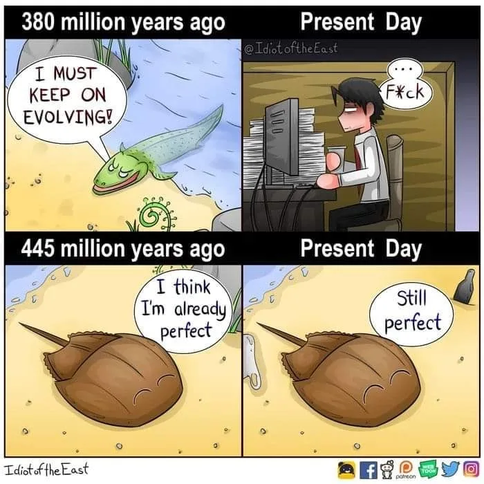 horseshoe crab meme