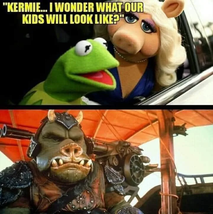 kermit the frog meme