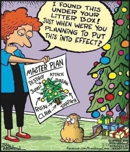 plotting meme