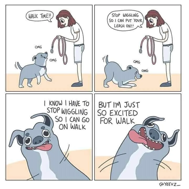 leash meme