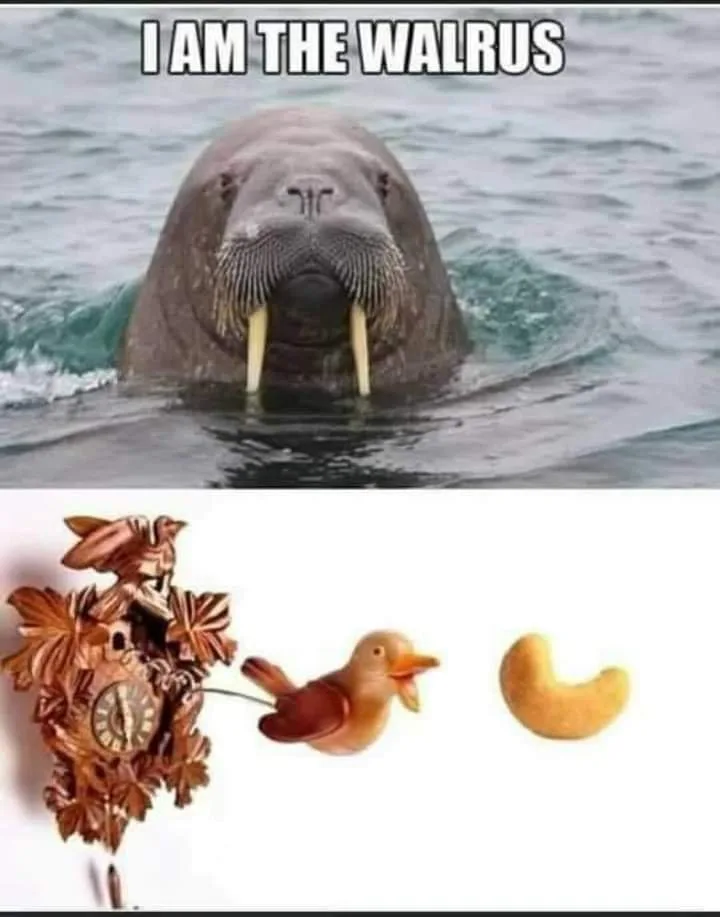 Beatles meme
