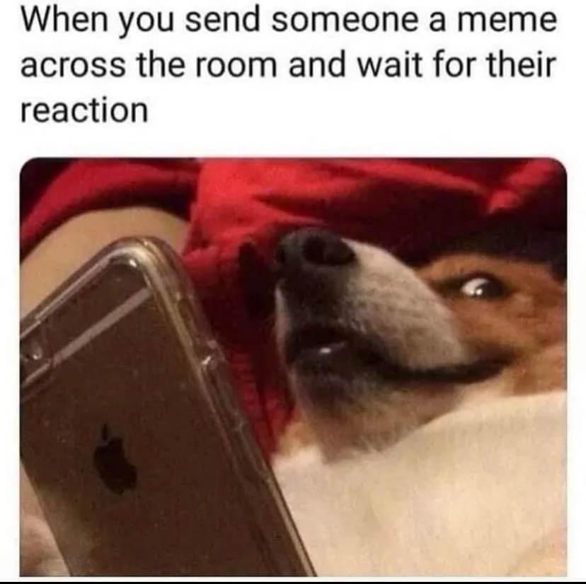 sharing memes meme