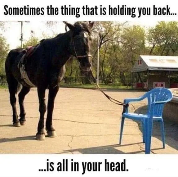 obstacle meme