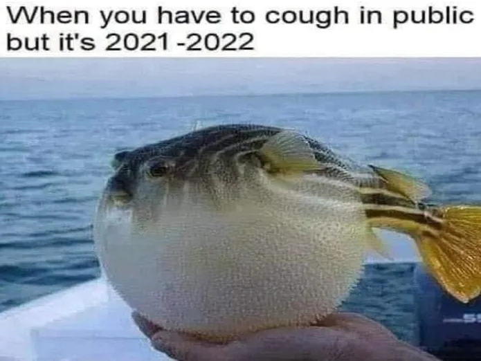 coughing meme