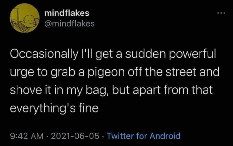 pigeon meme
