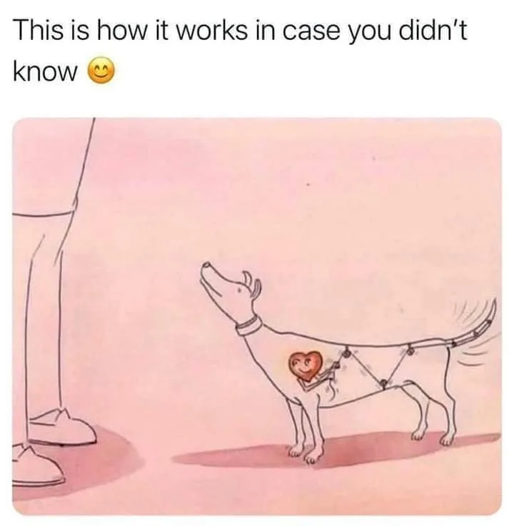 tail meme