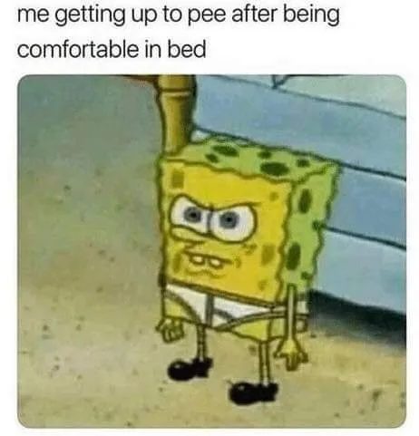 waking up to pee meme