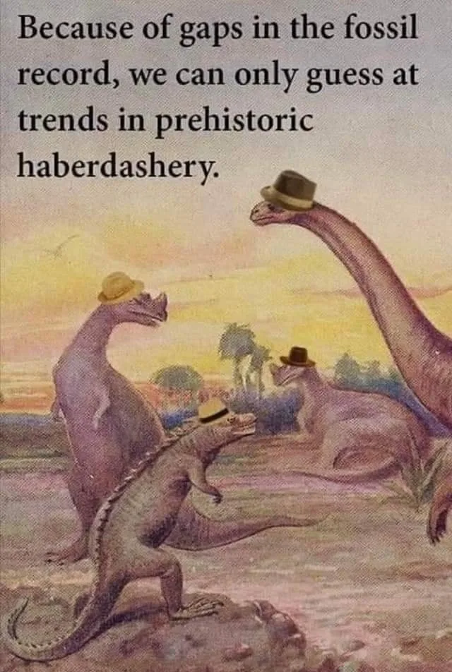 hat meme