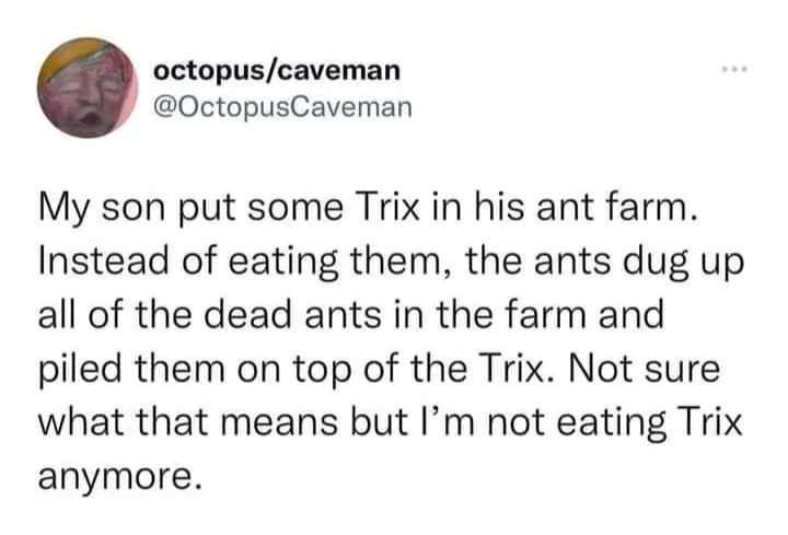 ant farm meme