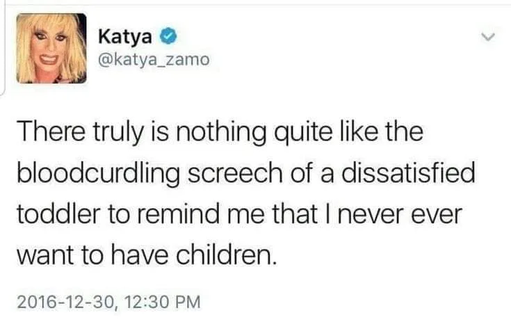 not having kids meme