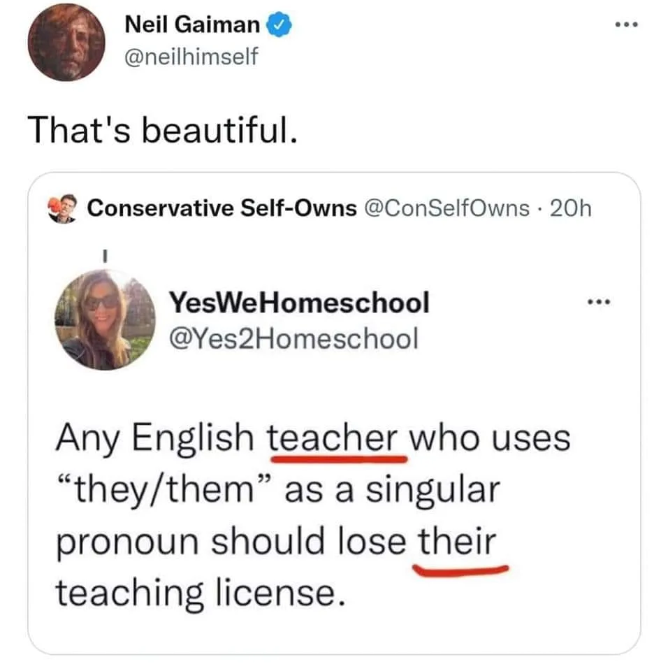 gender pronouns meme