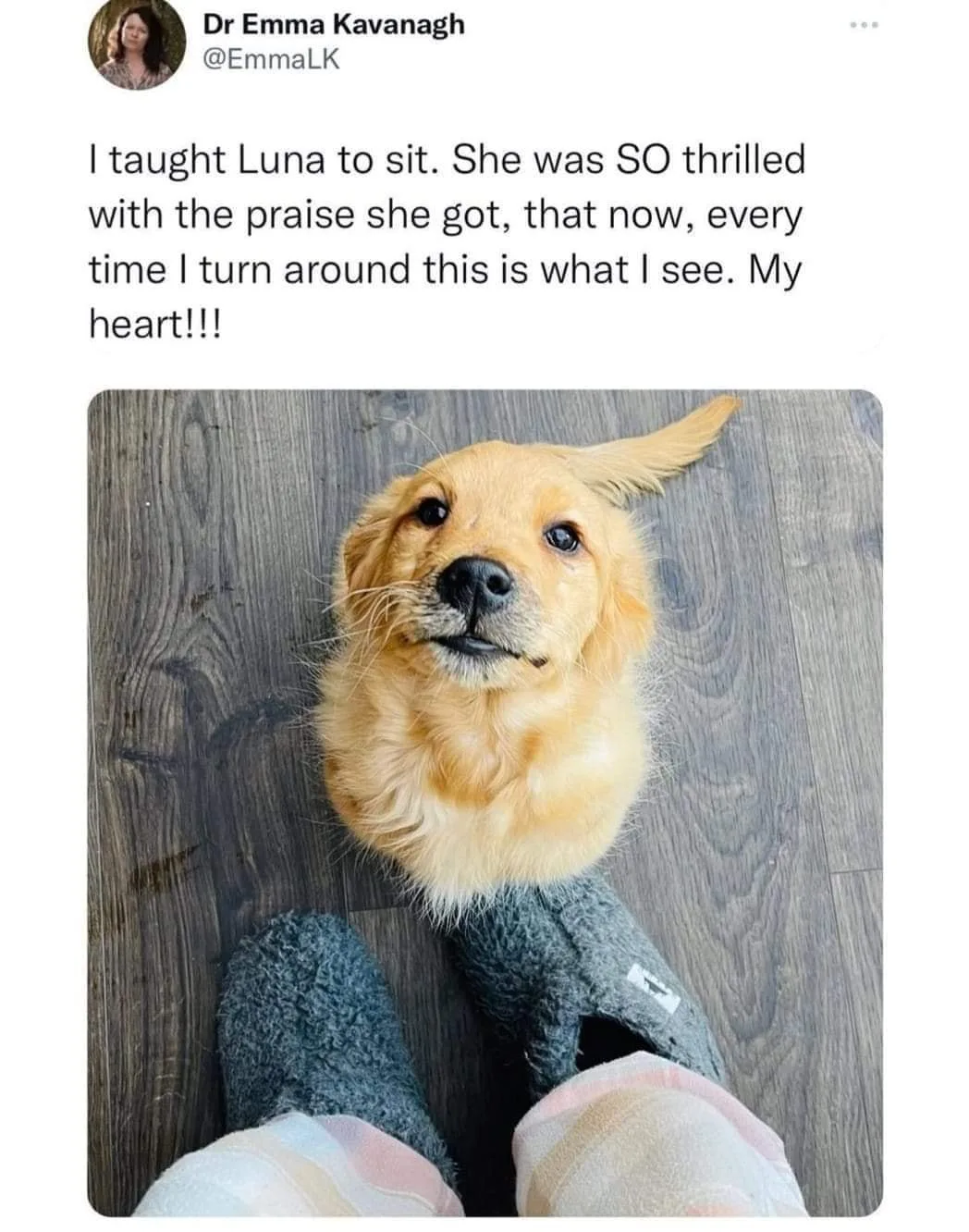 sitting meme