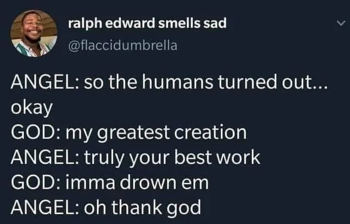 flood meme