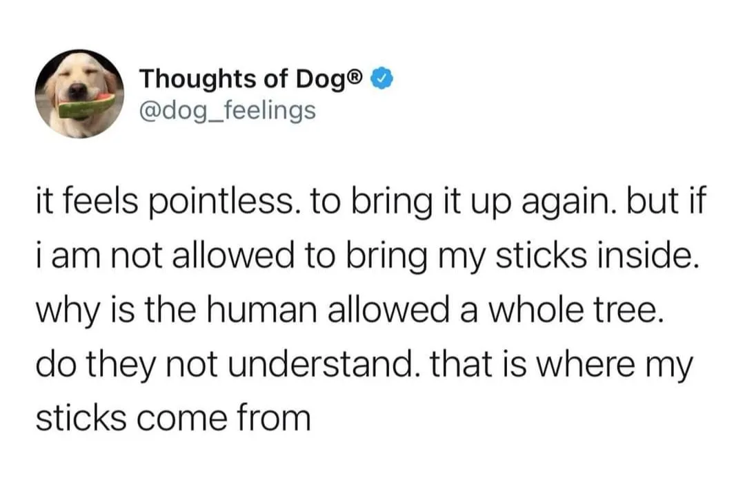 stick meme