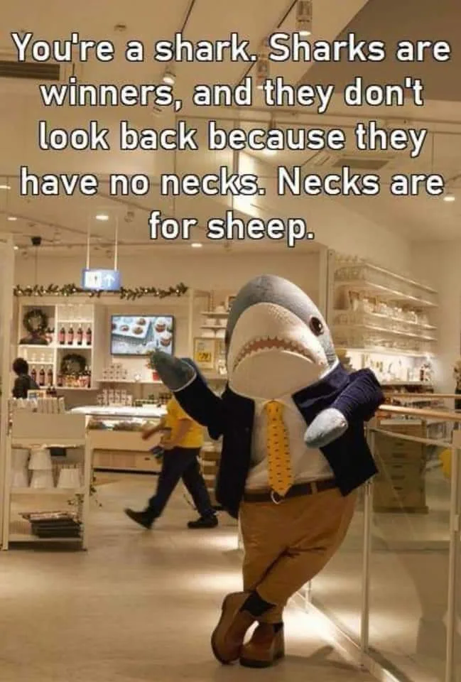 looking back meme