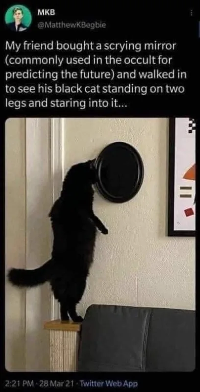 witchcraft meme