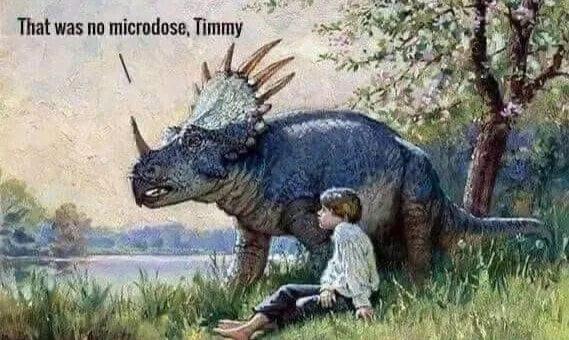 LSD meme