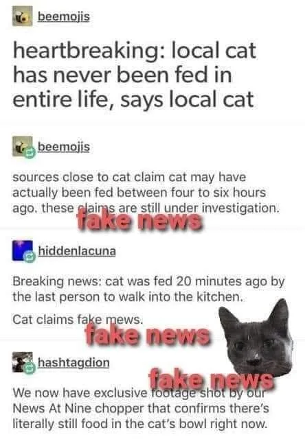 cat food meme