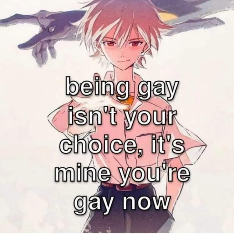 being gay meme