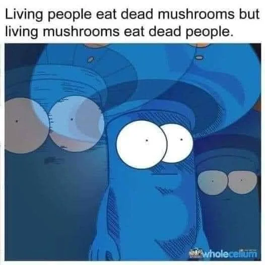 circle of life meme