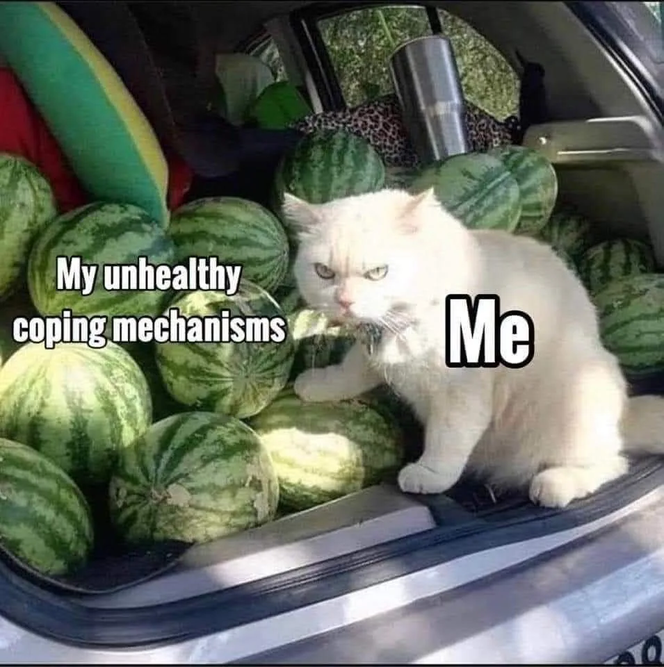 coping mechanism meme