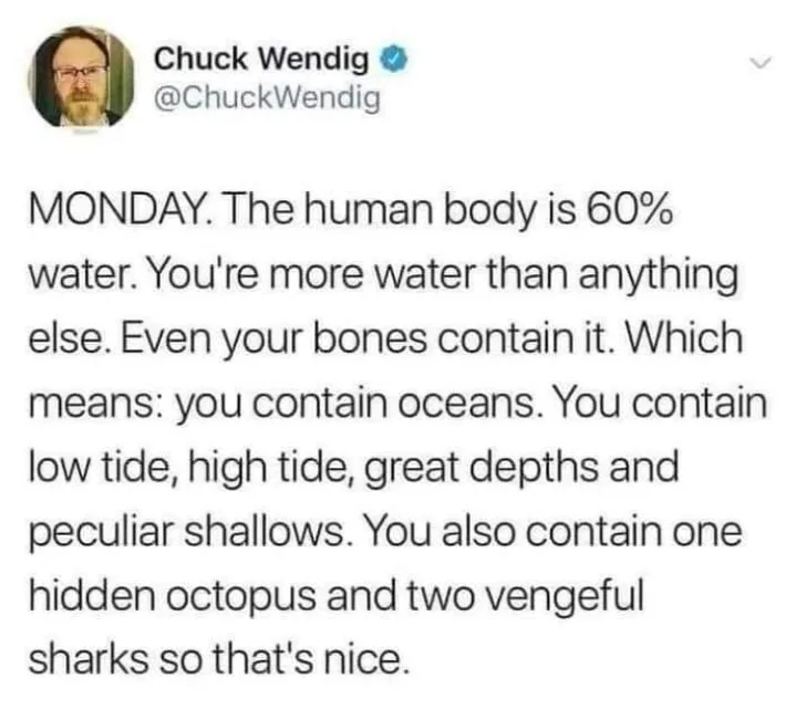 human body meme