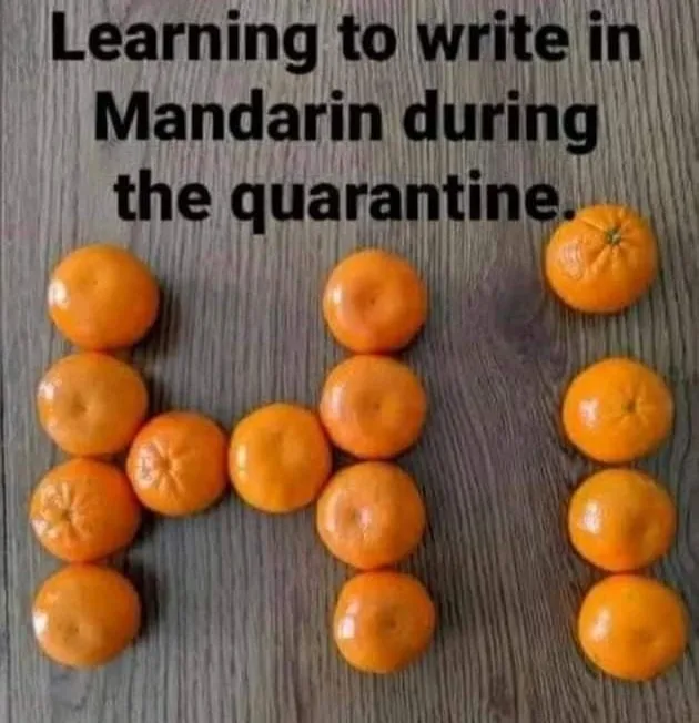 orange meme