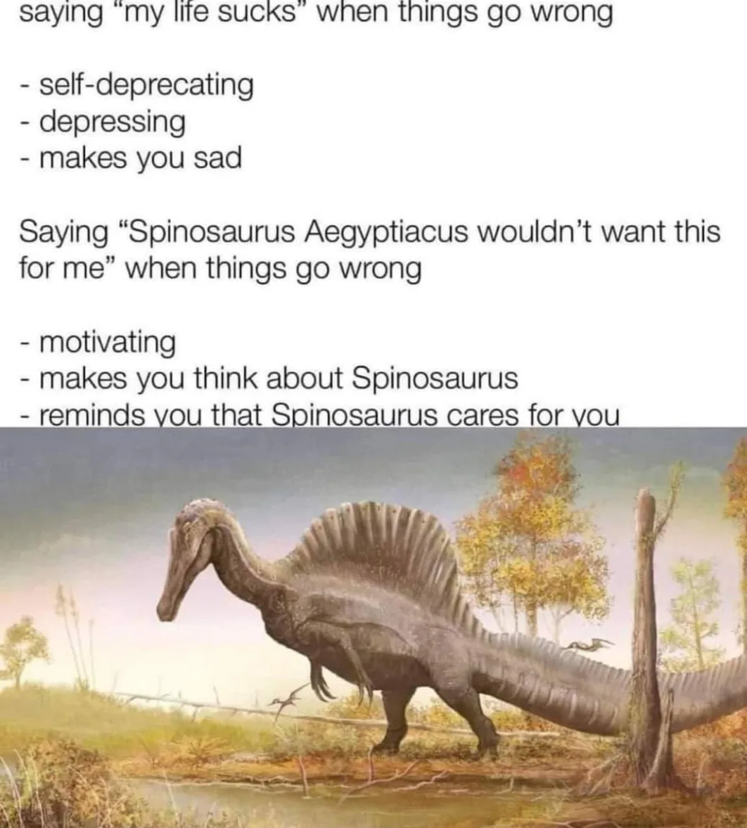 encouragement meme