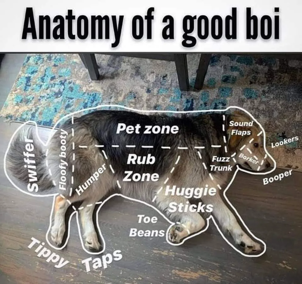 good dog meme