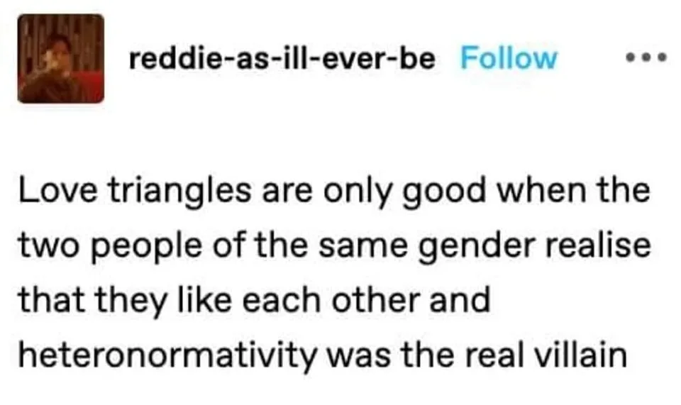 heteronormative culture meme