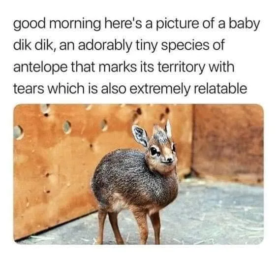 crying meme
