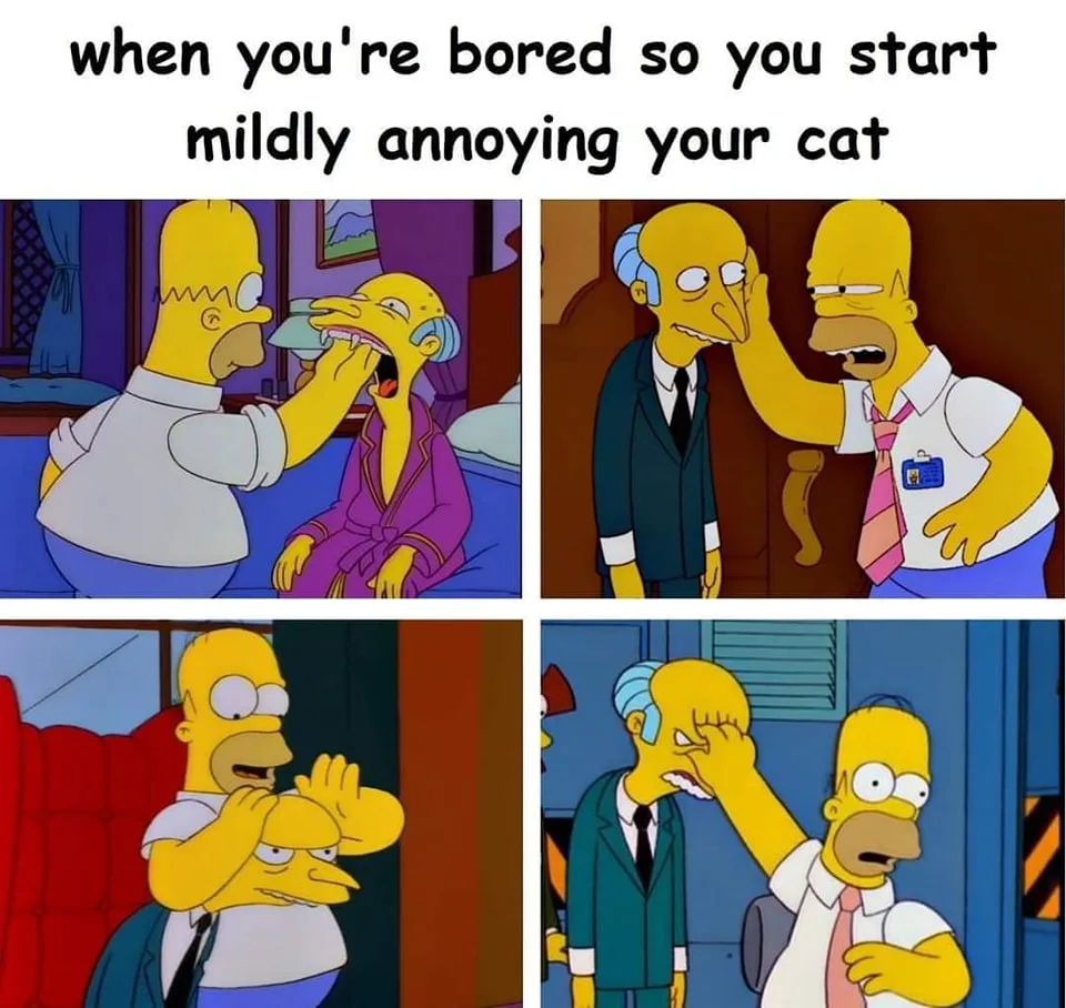 teasing meme